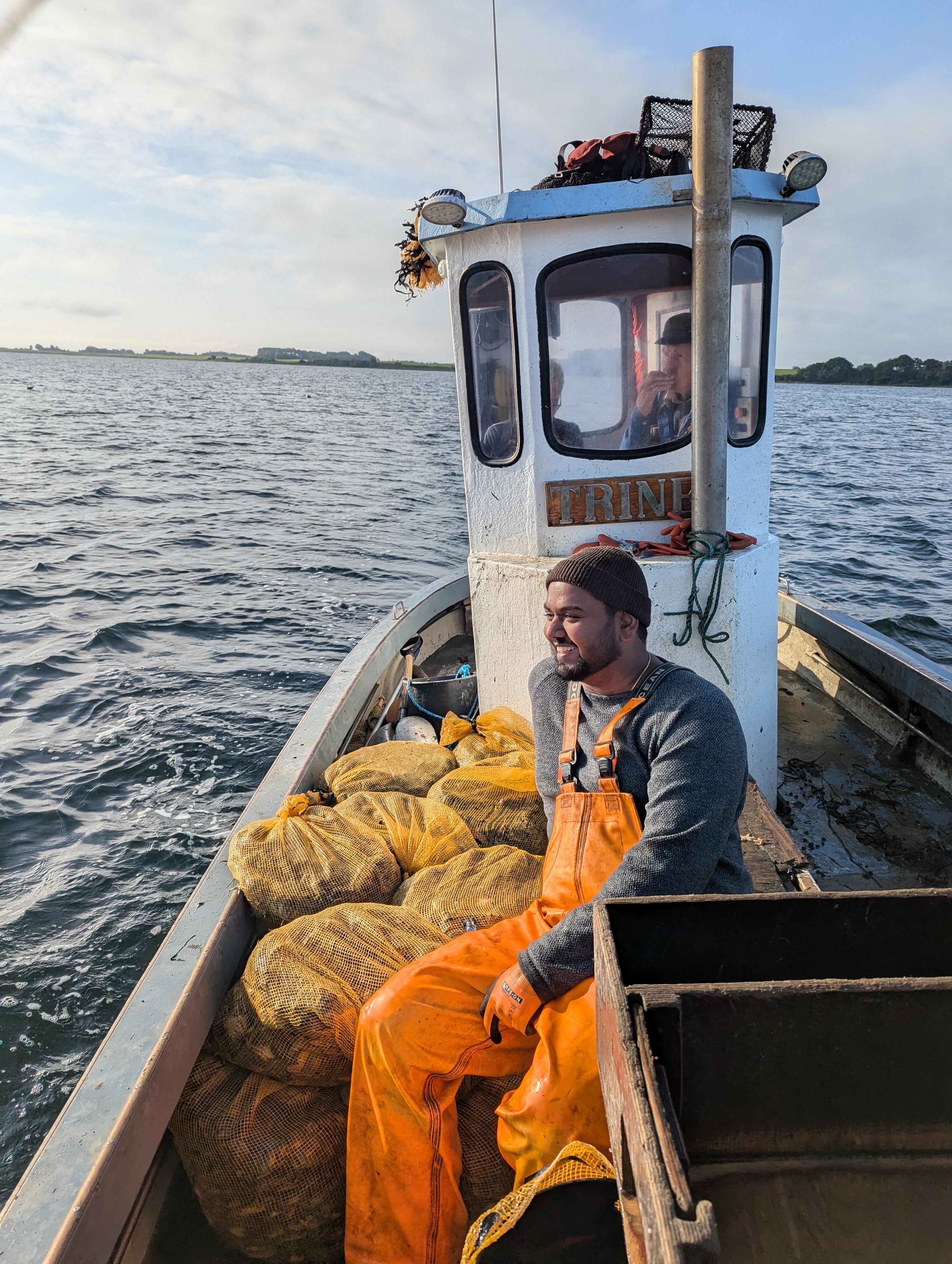 Danish fishers harvesting crabs along the coastline